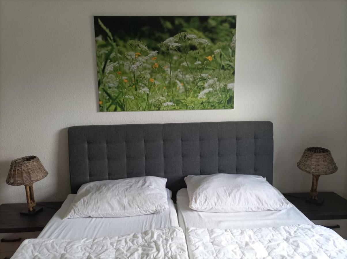 Ferienresidenz Wurmbergblick Apartment Braunlage Ngoại thất bức ảnh